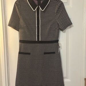 NWT ModCloth Scholastic Classic Collared Mini Dress